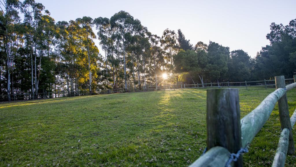 Tamodi Lodge Plettenberg Bay Eksteriør billede