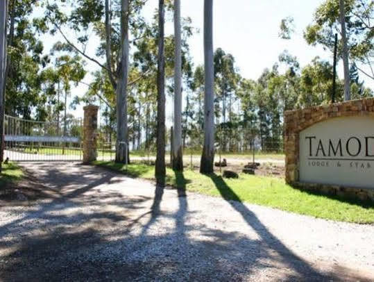 Tamodi Lodge Plettenberg Bay Eksteriør billede